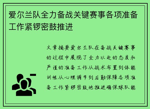 爱尔兰队全力备战关键赛事各项准备工作紧锣密鼓推进